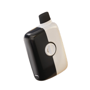 Black Ice Mr Fog Switch 5500 Puffs – Disposable