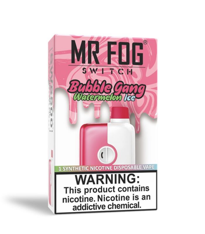 Bubble Gang Watermelon Ice Mr Fog Switch 5500 Puffs