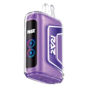Raz Grape Ice Flavor TN9000 - Disposable