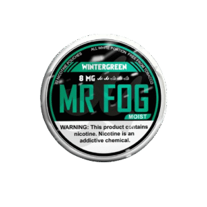 MOIST - COOL MINT - MR FOG NICOTINE POUCHES