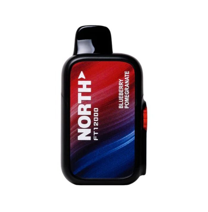 Blueberry Pom - North FT12000 Puffs