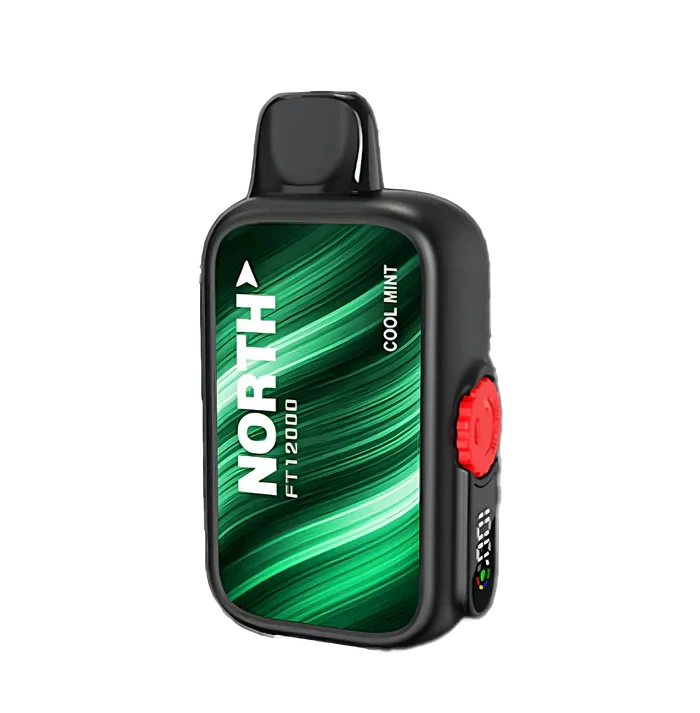 Cool Mint - North FT12000 Puffs