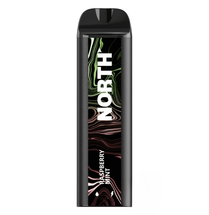 Raspberry Mint North 5000 Puffs Vape