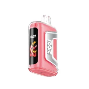 Raz Strawberry Watermelon Flavor TN9000 - Disposable