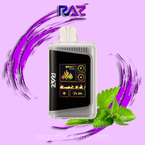 Miami Mint Raz 25K LTX Disposable Vape | Raz Vape