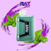 Miami Mint Raz TN9000 Disposable Vape | Raz Vape