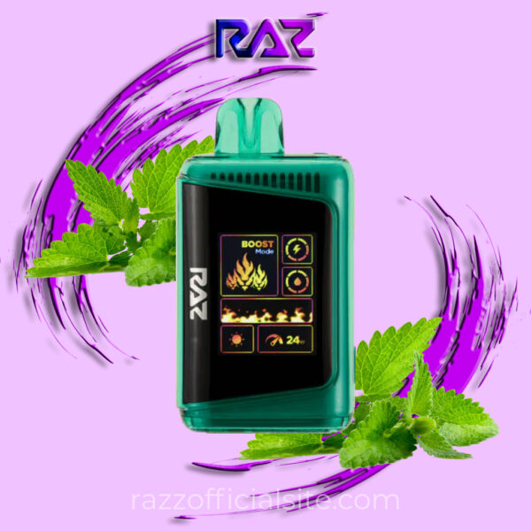 Winter Green Raz 25K LTX Disposable Vape | Raz Vape