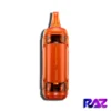 Raz Apple Cinnamon Vape - TN9000