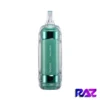 Miami Mint Raz Vape - TN9000